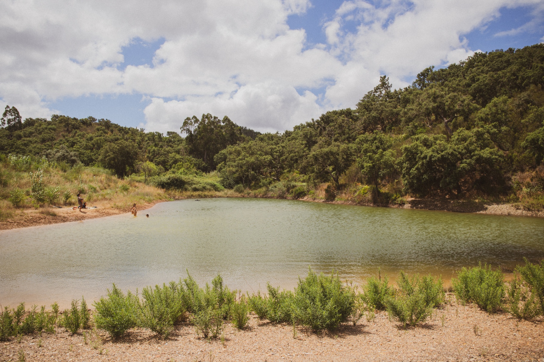 The lake at Mosaic, Southern Portugal